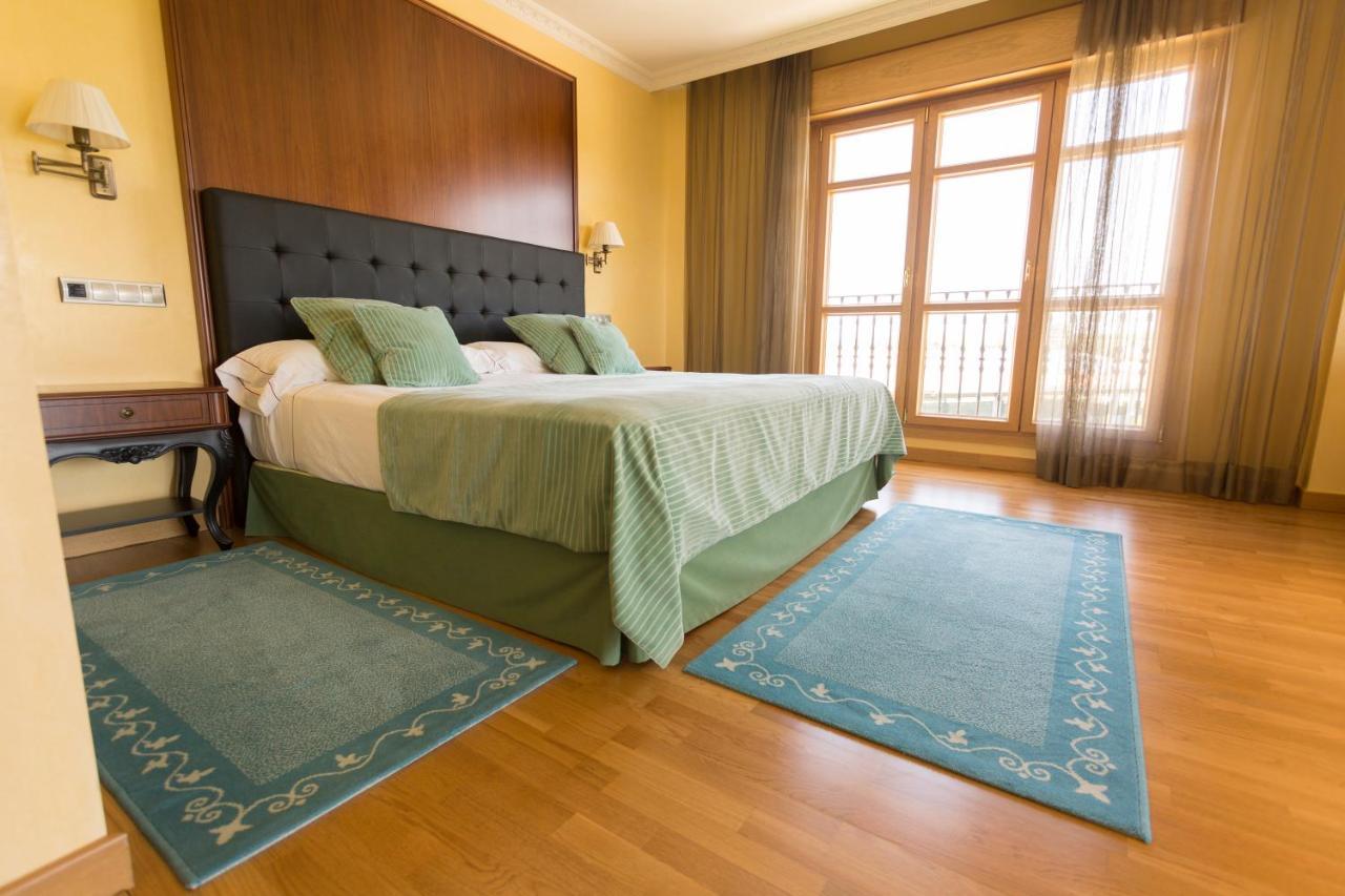 Hotel Torremilanos Aranda de Duero Luaran gambar