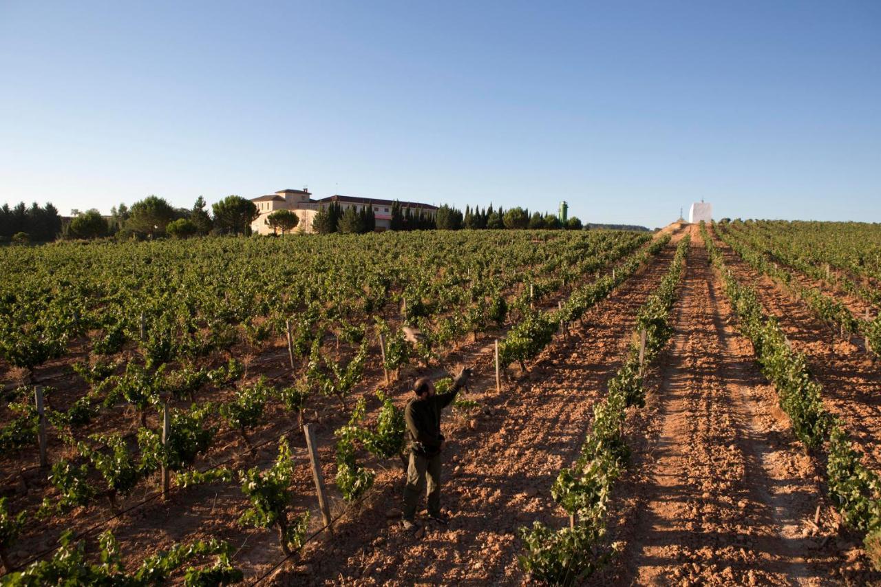 Hotel Torremilanos Aranda de Duero Luaran gambar