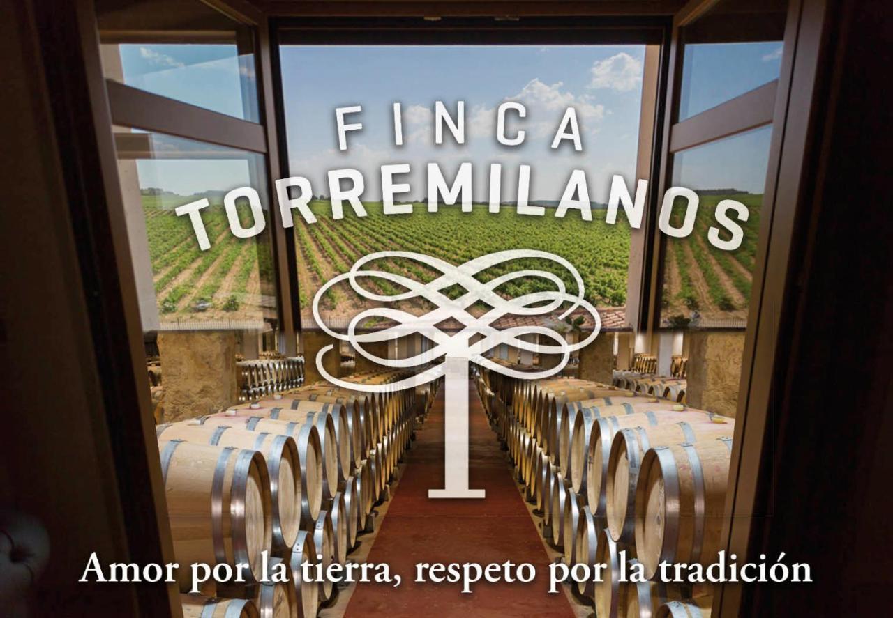 Hotel Torremilanos Aranda de Duero Luaran gambar